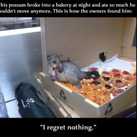 Oh Possum! :D