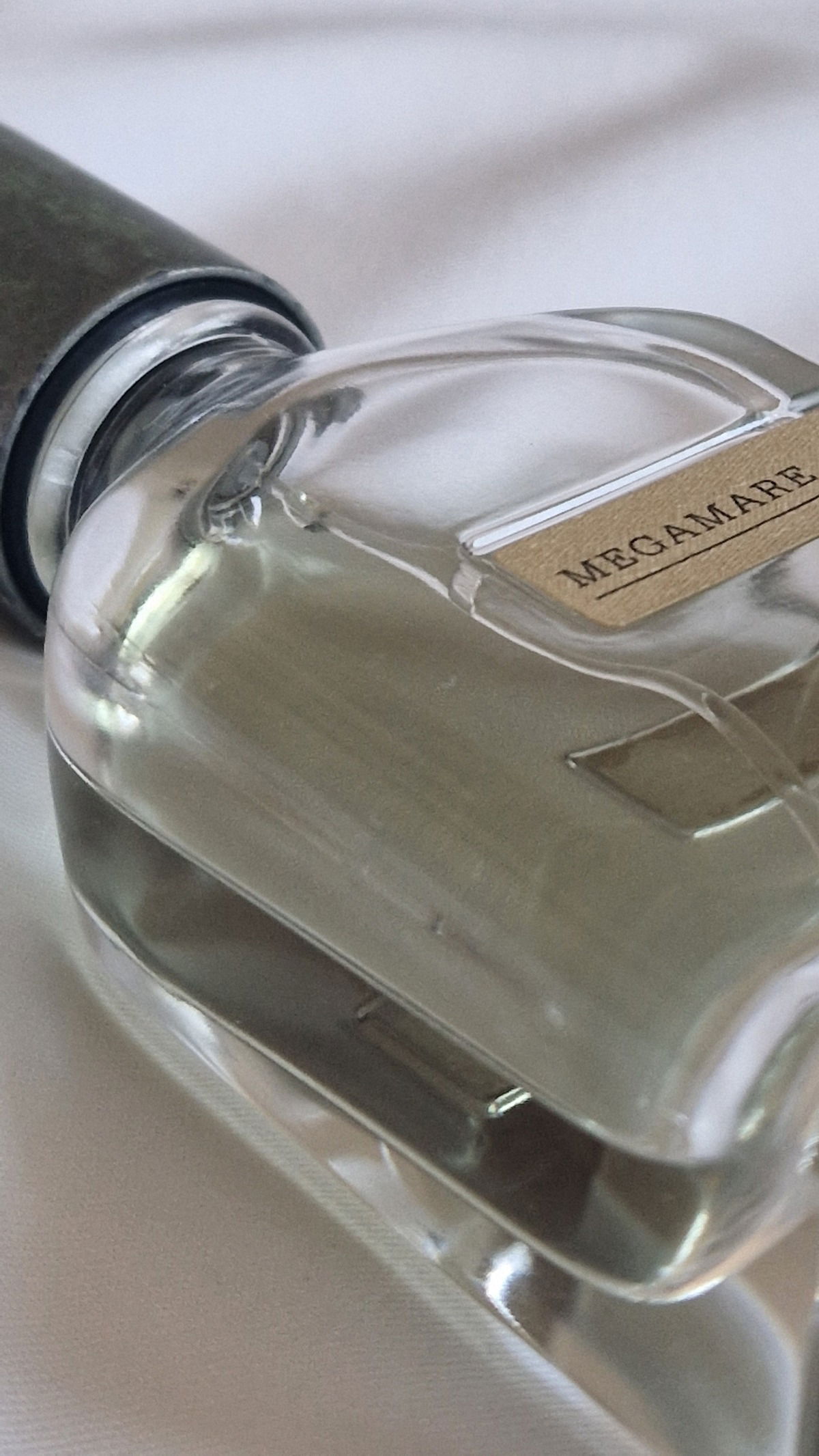 Megamare, Kraken from the sea on my bed sheets