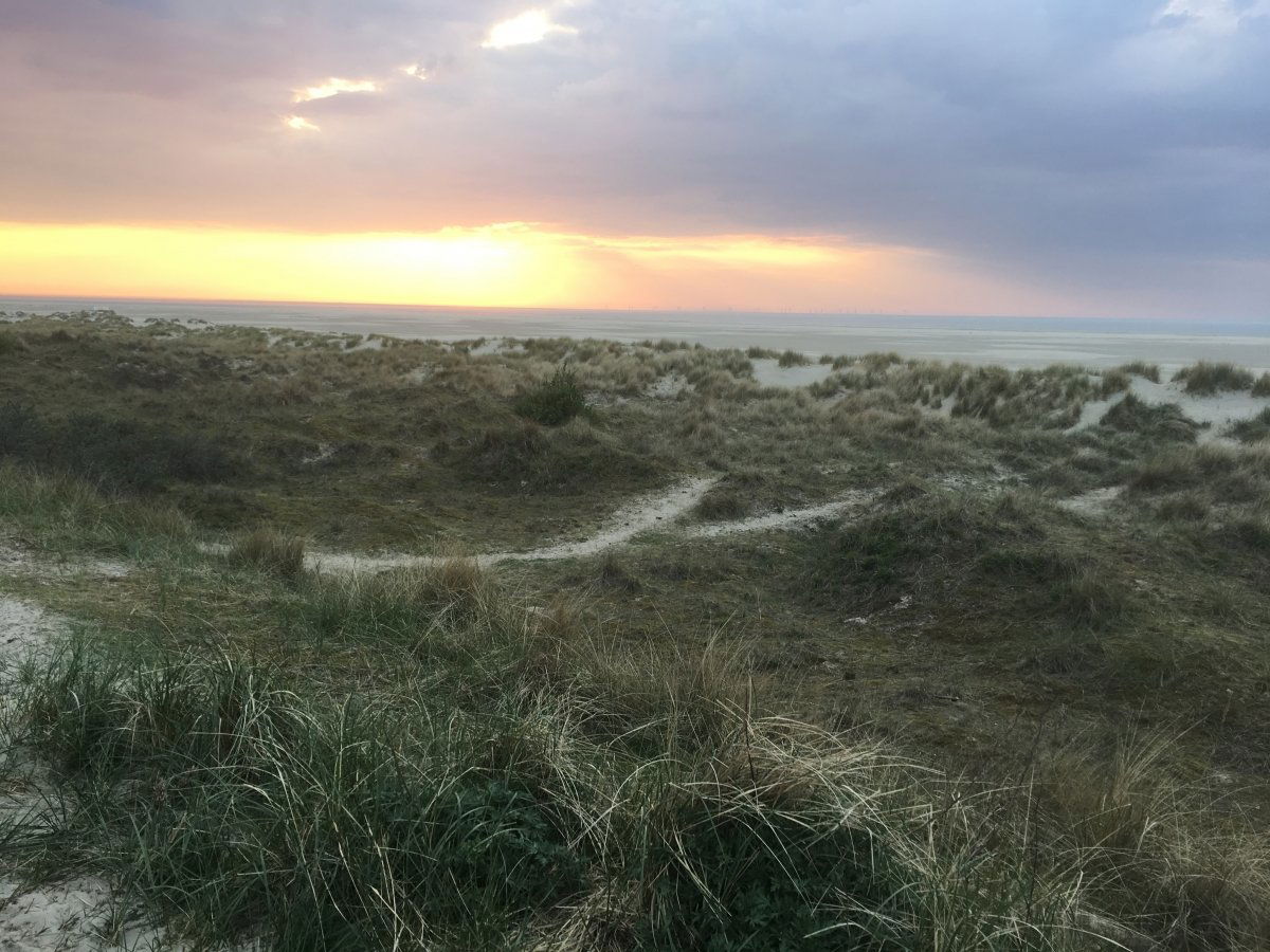 Sonnenuntergang auf Borkum