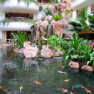 Garten des Hotels Shang...