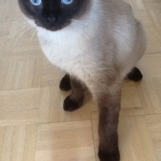 Gorgeous Birthday Boy ....