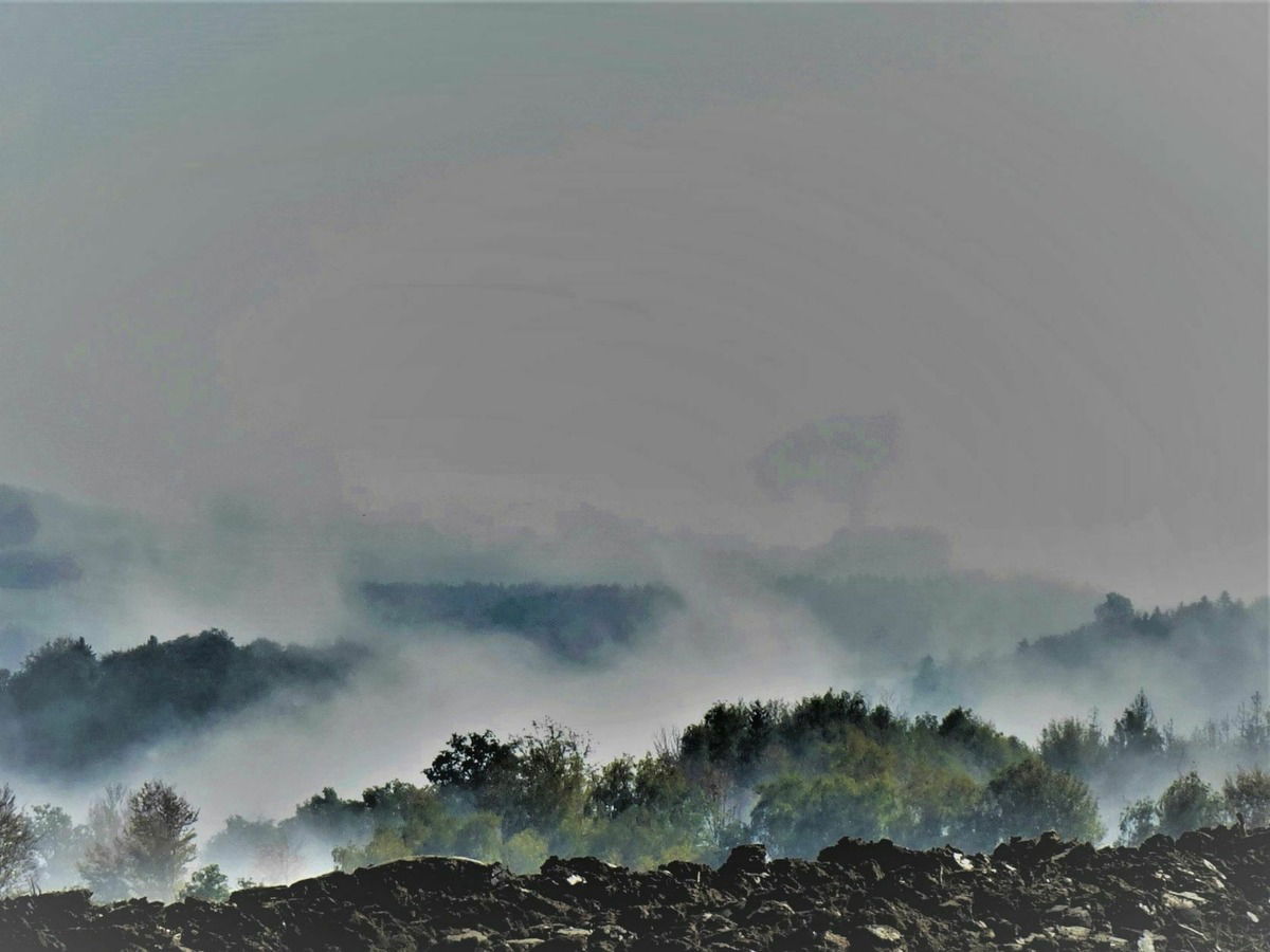 Im Nebel ruhet noch die Welt ..