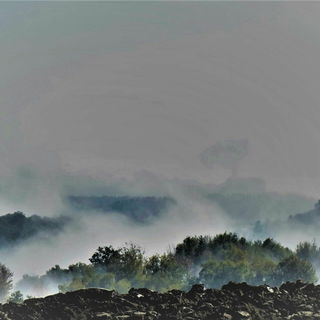 Im Nebel ruhet noch die...