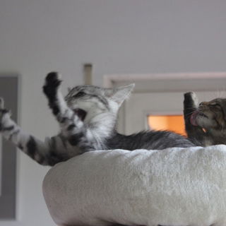 Während die Eine in Pa...