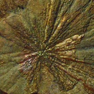 Don't forget to sparkle...