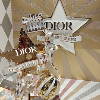 Weihnachtszeit von Dior...