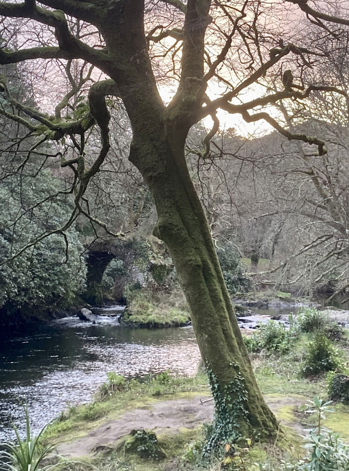 Cromwell Bridge in Glengarriff
