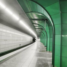 U-Bäume