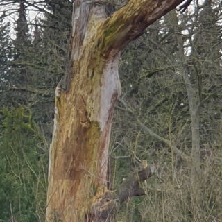 😍💛🧡❤🧡💛😍