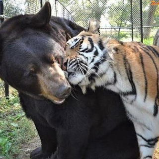 Na du bist mir aber ein...