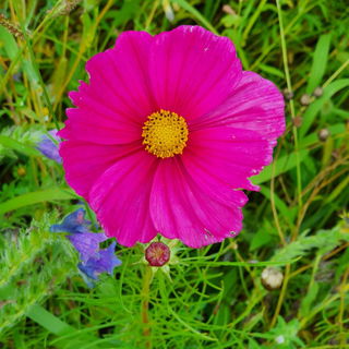 Mein allererstes Wort!?...