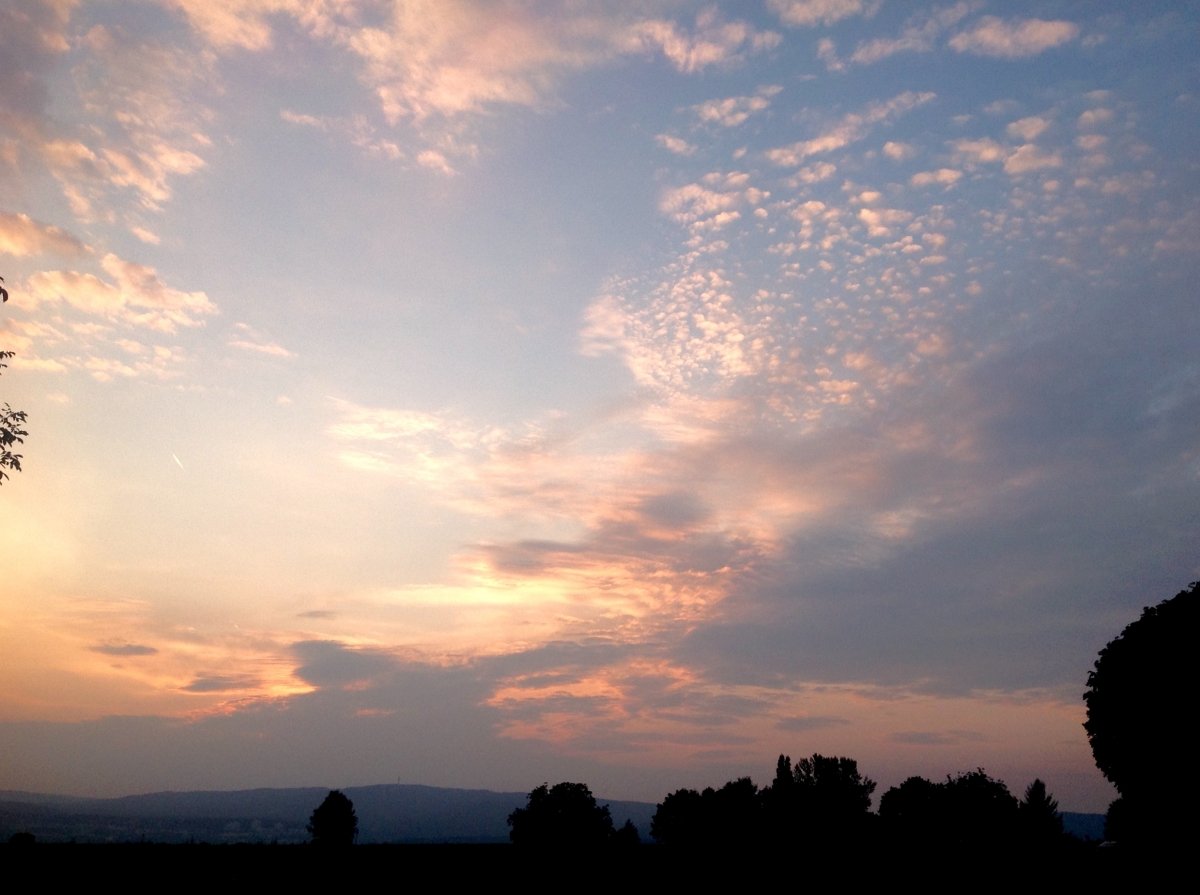 Abend über der Stadt ......