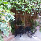 Kubanische Terrasse mit...