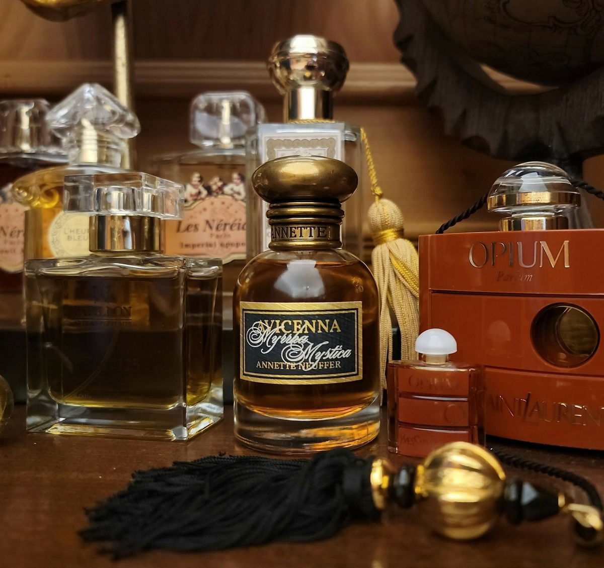 Avicenna Myrrha Mystica by Annette Neuffer