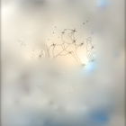 Constellation