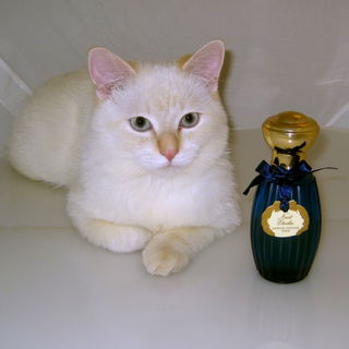 Mori und Nuit Etoilée ...