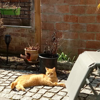 Sonnenbaden