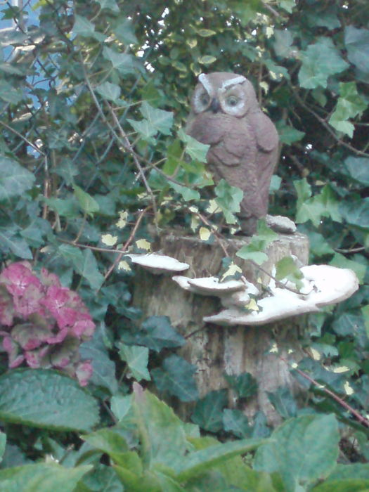 Unser verwunschener Garten