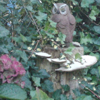 Unser verwunschener Gar...