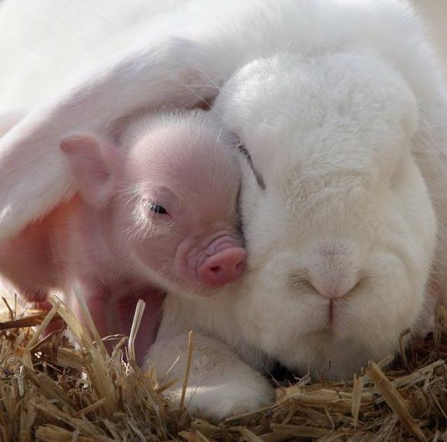 Hasi und Mari ;)