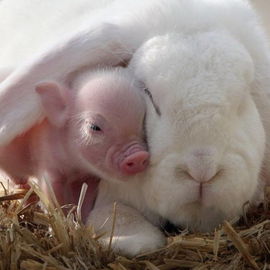 Hasi und Mari ;)