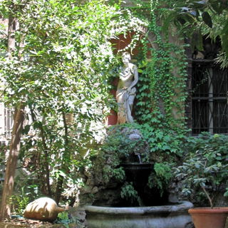 Blick in den Garten