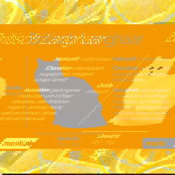 Gedrungen.. und fett