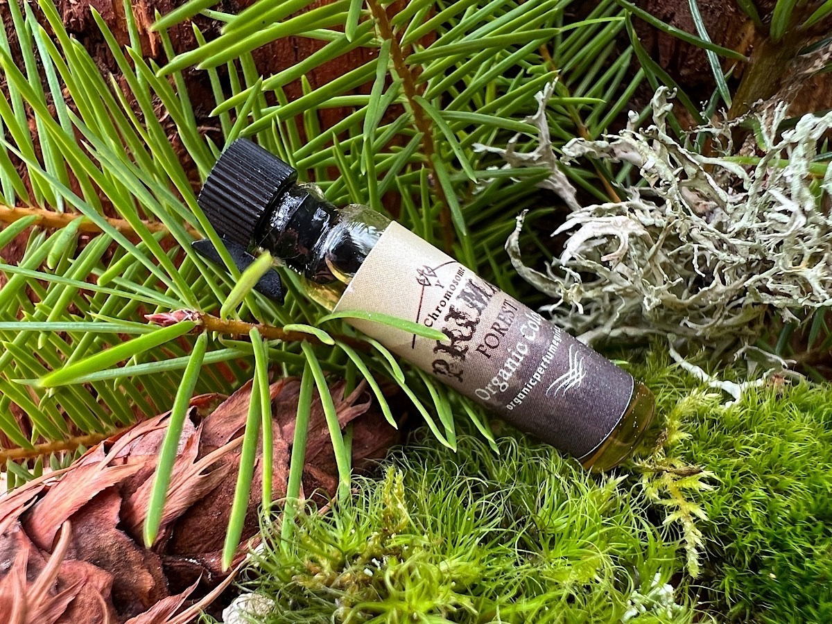 Primal Forest / Organic Perfume Girl / 03.11.2023