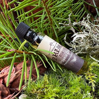 Primal Forest / Organic...