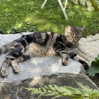 Nanouk - seit Juli 23 b...