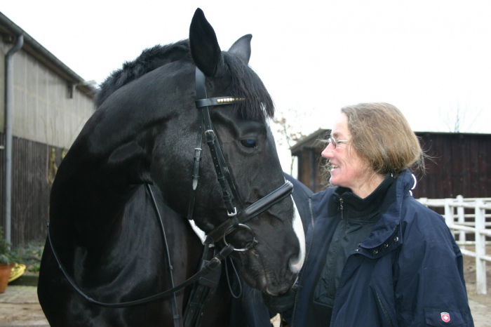 Mein Liebling "Solino" ist jetzt auf der großen Pferdewiese im Himmel.