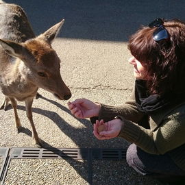 Nara (Japan)