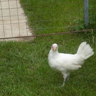 Meine Namensvetterin