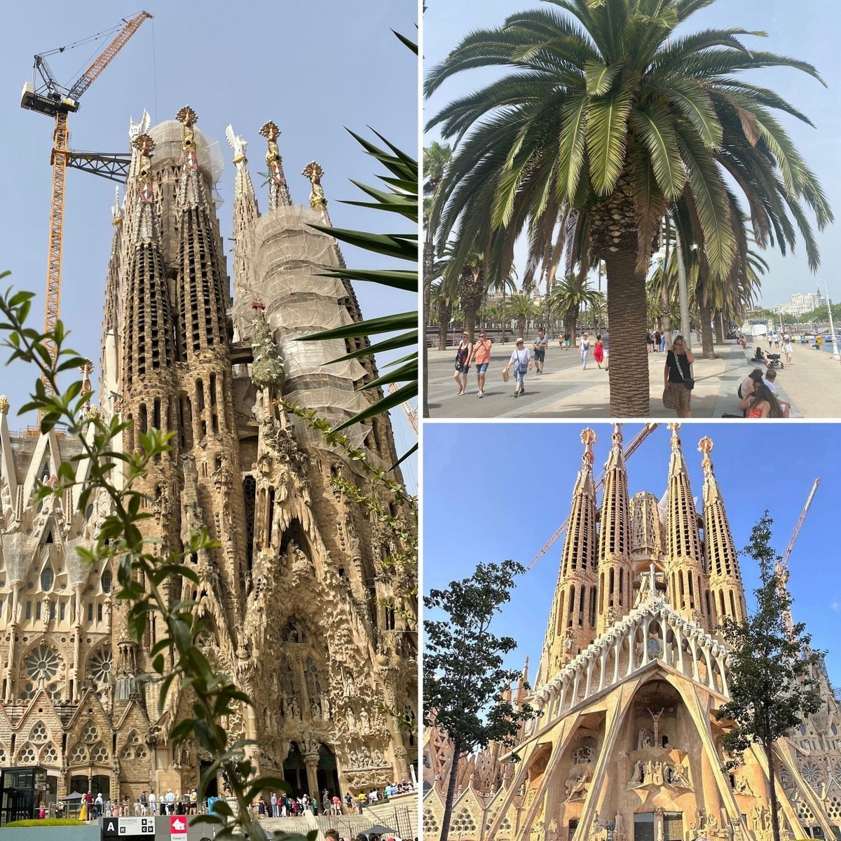 Barcelona ❤️🇪🇸