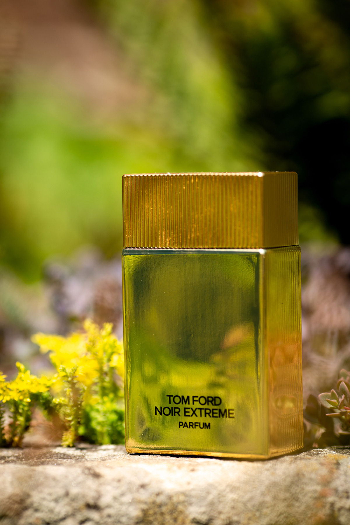 Tom Ford Noir Extreme Parfum. Leider nicht genug gereinigt. Shame on me.... :D