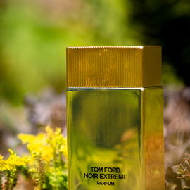 Tom Ford Noir Extreme P...