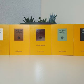 Colonia, Colonia Intens...