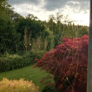 Mitbewohnerin unseres G...