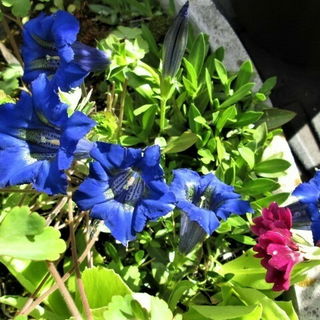 Jedes Jahr gibt es eini...