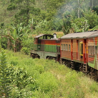 Ella / Sri Lanka