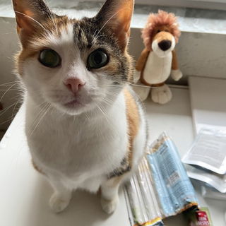 14 Jahre sind wir jetzt...