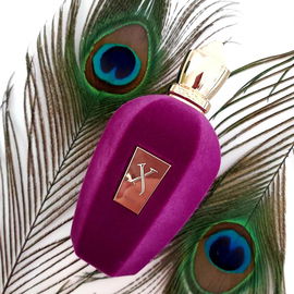 XERJOFF Muse