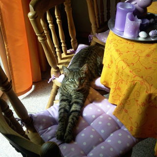 Warum mit einem Stuhl z...