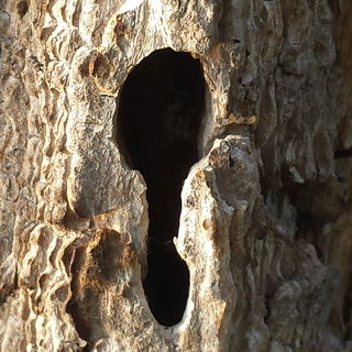 Wer hat den Schlüssel ...