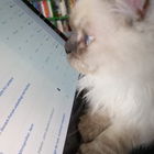 Das ist James