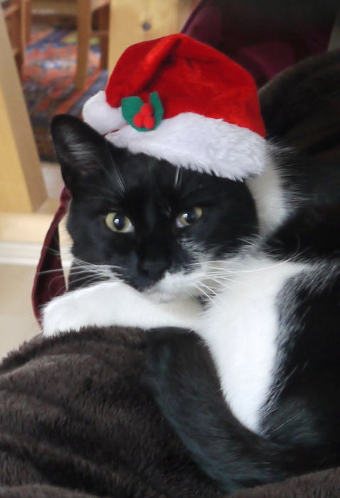 Ich gebe heute aber nicht den Weihnachts-Filou :-)