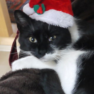 Ich gebe heute aber nic...