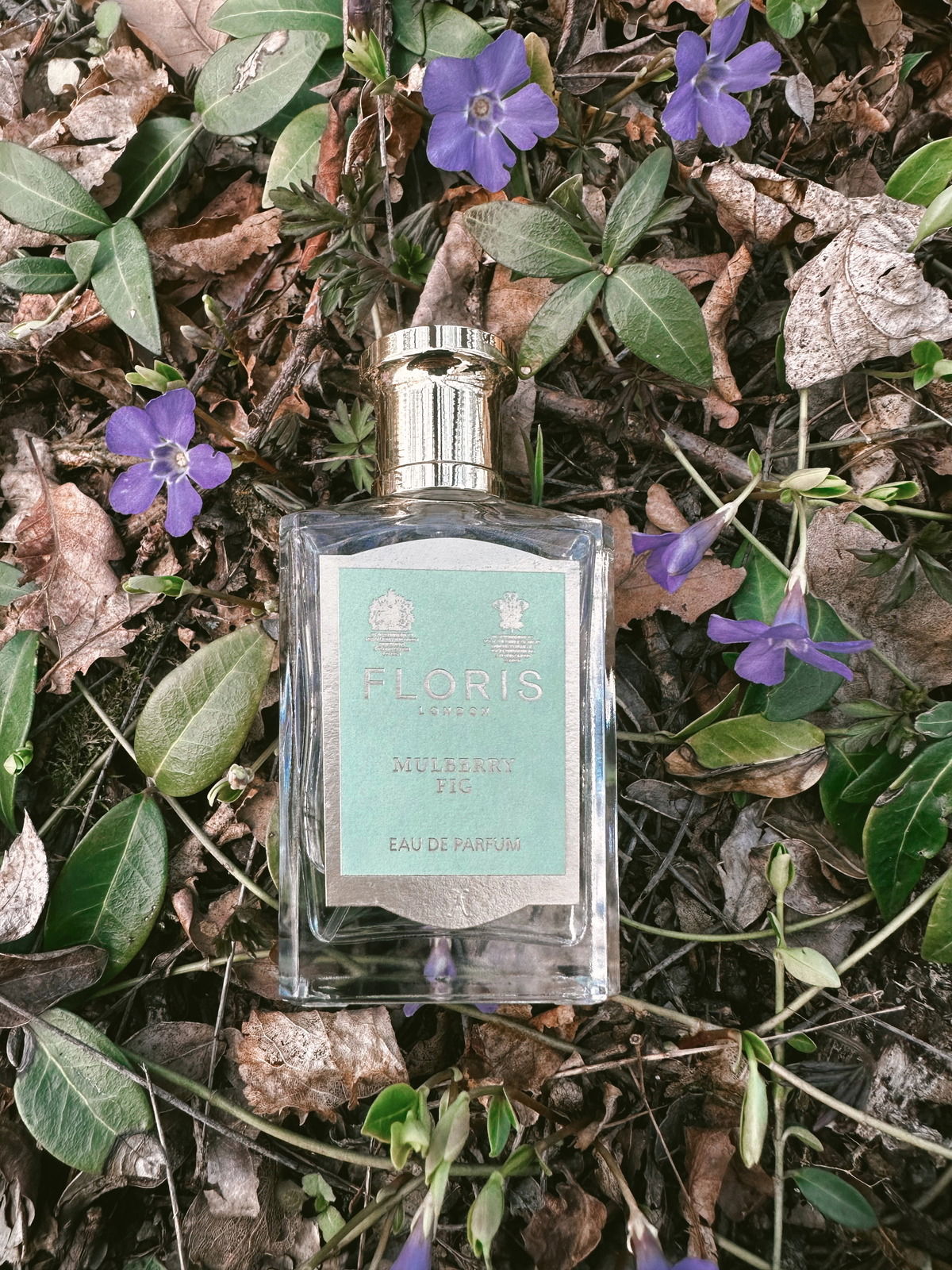 Mein Liebling für den Frühling 🥰