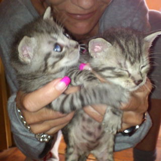 12.05.2012 Toni und Muc...