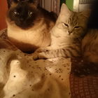 Jimmyschatz und Nalahma...